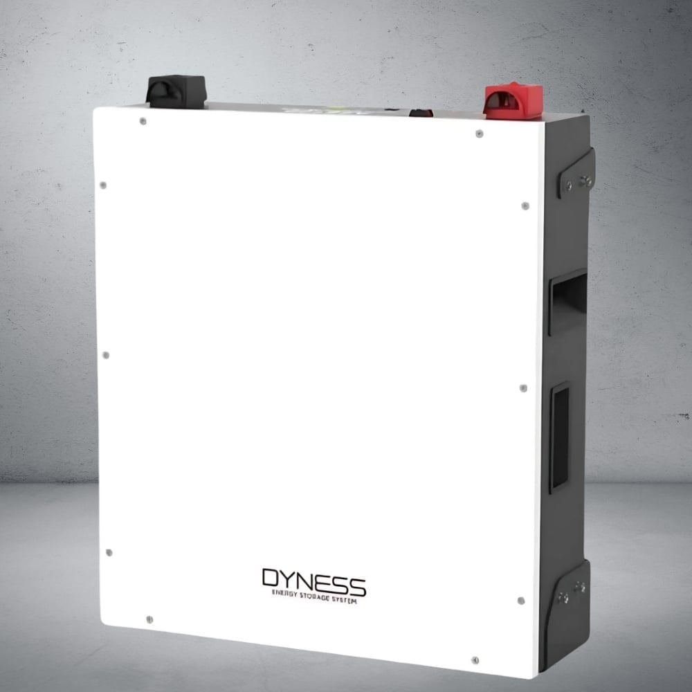 DYNESS BX51100 (3)