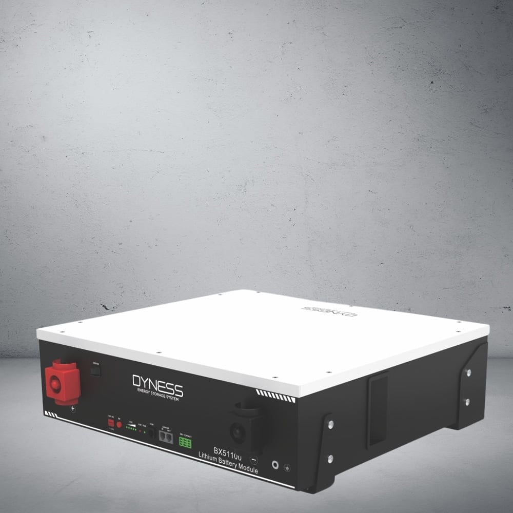 DYNESS Lithium Battery BX51100(51.2V100AH 5.12KWH)
